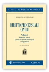 Diritto processuale civile - Volume I 