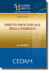 Diritto processuale della famiglia 