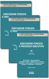 Esecuzione forzata e processo esecutivo - Vol. 1 