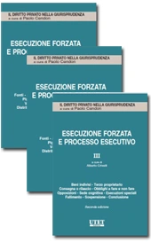 Esecuzione forzata e processo esecutivo - Vol. 1 