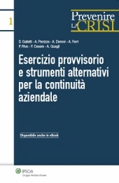 Esercizio provvisorio e strumenti  alternativi per la continuità aziendale 