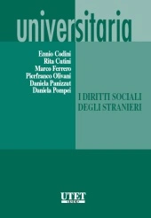 I diritti sociali degli stranieri 