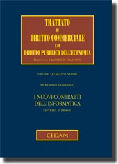 I nuovi contratti dell'informatica 