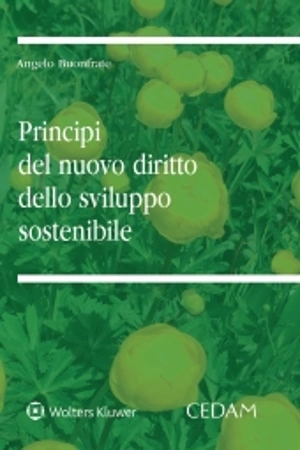 I principi del nuovo diritto dello sviluppo sostenibile 