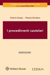 I procedimenti cautelari 