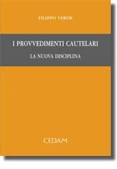 I provvedimenti cautelari.  