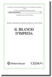 Il bilancio d'impresa 