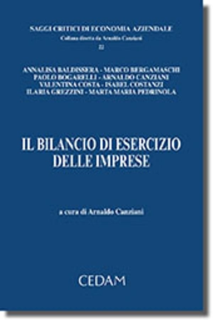 Il bilancio di esercizio delle imprese 