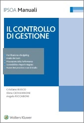 Il controllo di gestione  