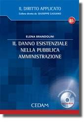 Il danno esistenziale nella pubblica amministrazione 