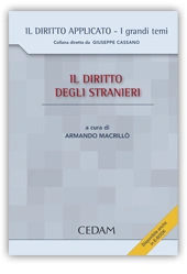 Il diritto degli stranieri 