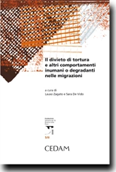 Il divieto di tortura e altri comportamenti inumani o degradanti nelle migrazioni 
