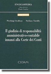 Il giudizio di responsabilità amministrativo-contabile innanzi alla Corte dei Conti 