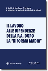 Il lavoro alle dipendenze della p.a. dopo la "riforma madia" 