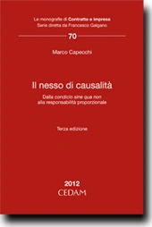 Il nesso di causalità 