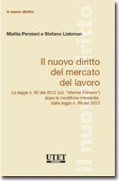 Il nuovo diritto del mercato del lavoro 
