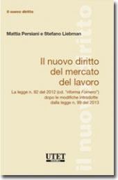 Il nuovo diritto del mercato del lavoro 