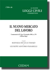 Il nuovo mercato del lavoro 