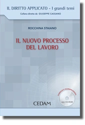 Il nuovo processo del lavoro 