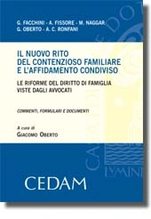 Il nuovo rito del contenzioso familiare e l'affidamento condiviso 