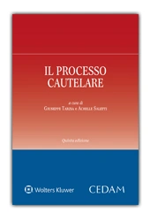 Il processo cautelare 