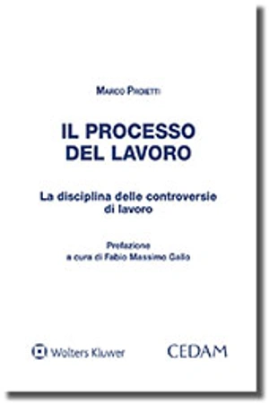 Il processo del lavoro  