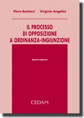 Il processo di opposizione a ordinanza-ingiunzione 