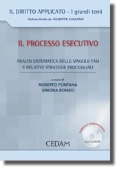 Il processo esecutivo 