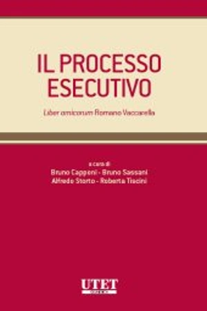 Il processo esecutivo 