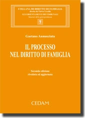Il processo nel diritto di famiglia 