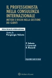 Il professionista nella consulenza internazionale 