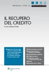 Il recupero del credito 