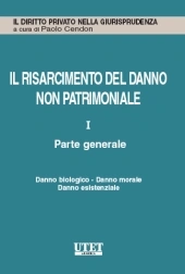 Il risarcimento del danno non patrimoniale. Vol. I: Parte generale. Danno biologico - Danno morale - Danno esistenziale 