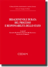 Irragionevole durata del processo e responsabilità dello Stato 