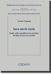 Iura novit curia 