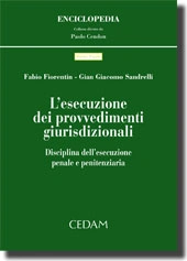L'esecuzione dei provvedimenti giurisdizionali 