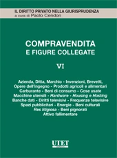 La Compravendita e le figure collegate. Vol. VI: Singole figure di compravendita 