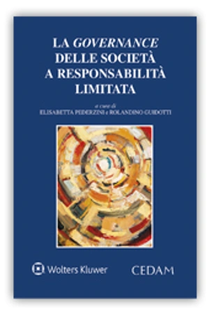 La Governance delle societa' a responsabilita' limitata  
