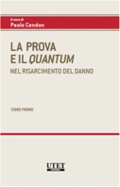 La Prova e il Quantum nel risarcimento del danno  