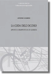 La coda dell'occhio 