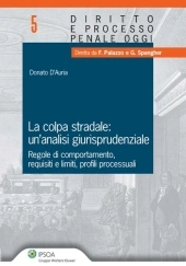 La colpa stradale: un'analisi giurisprudenziale 