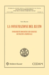 La consumazione del reato. Fondamenti dogmatici ed esigenze di politica criminale 