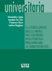 La formazione della prova nel giudizio: dall'udienza preliminare al dibattimento 