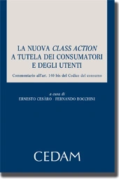 La nuova Class Action a tutela dei consumatori e degli utenti 