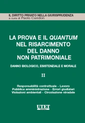 La prova e il quantum nel risarcimento del danno non patrimoniale 