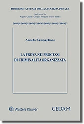 La prova nei processi di criminalità organizzata 