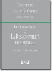 La responsabilità patrimoniale 