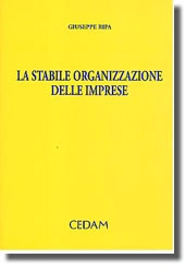 La stabile organizzazione delle imprese 