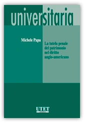 La tutela penale del patrimonio nel diritto anglo - americano 