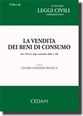 La vendita dei beni di consumo.   